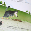 你是我的好朋友-情商绘本