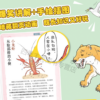 遗憾的进化2