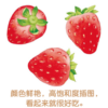好好吃的水果蔬菜（全3册） - 图片 3